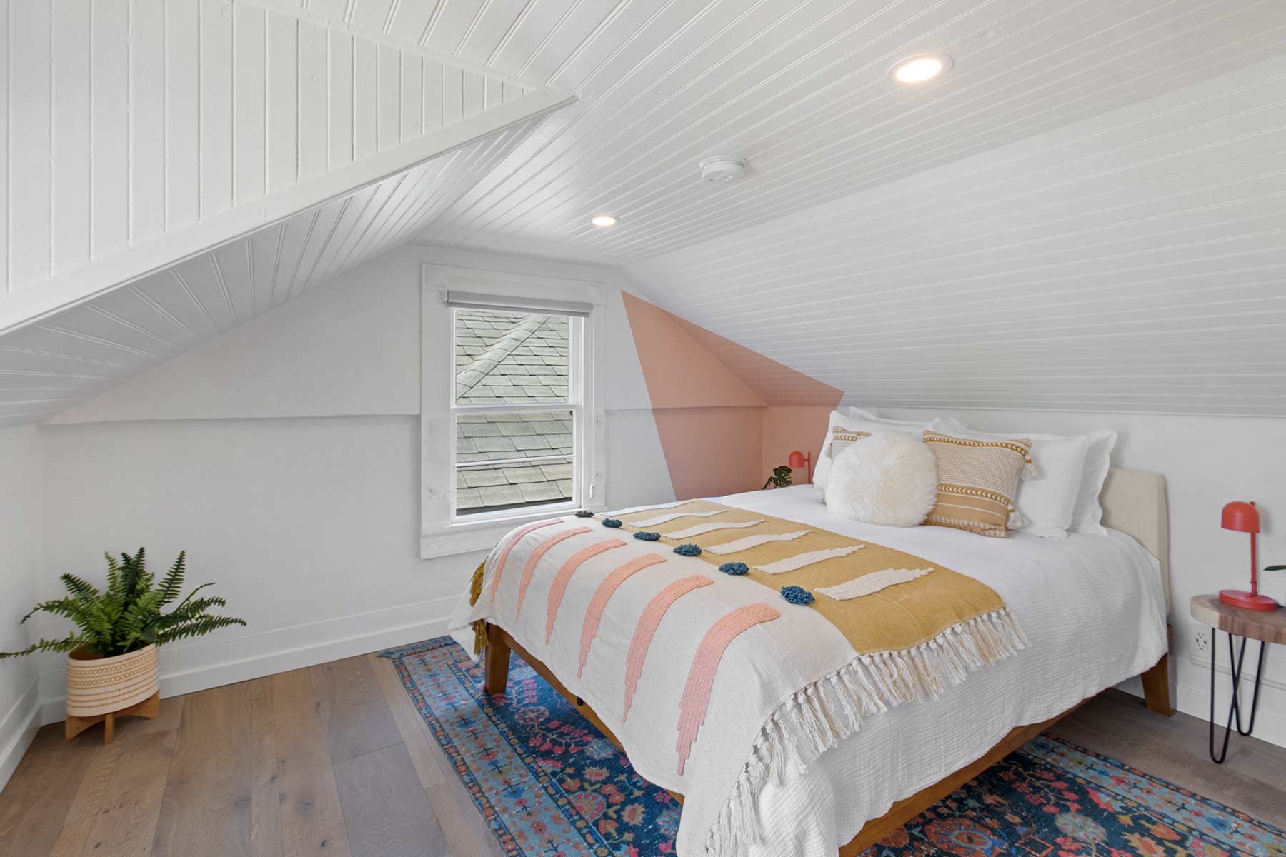 Garibaldi-NE0A7978-1